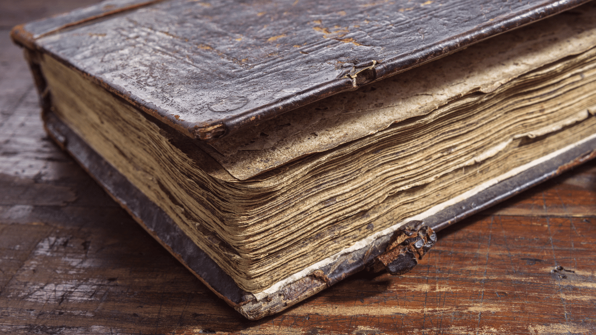 Book Fair – The Fair